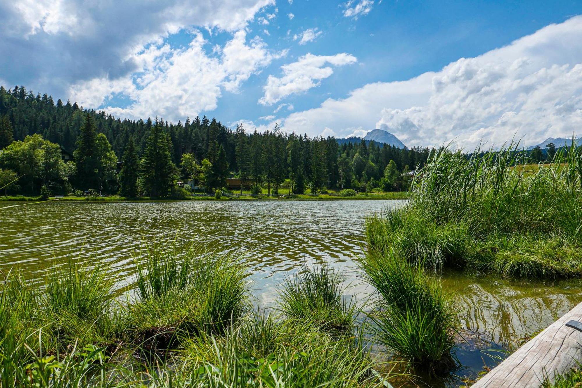 Landhaus Haid Seefeld no Tirol Exterior foto